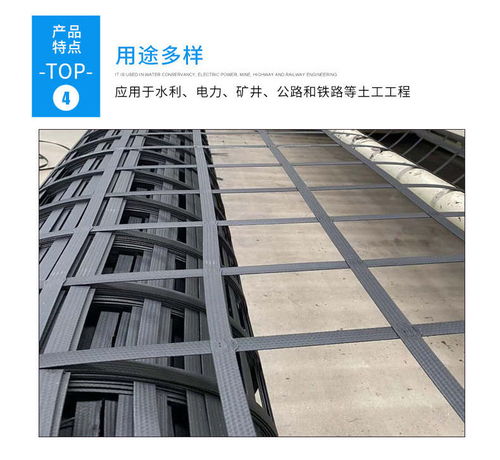 重庆钢塑土工格栅在线咨询 重庆渣土场钢塑土工格栅