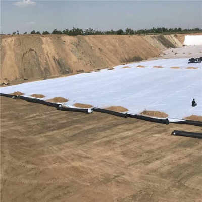 营口钢塑土工格栅厂家今日报价及市场行情分析