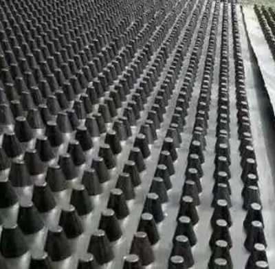 江门双向钢塑土工格栅厂家规格推荐