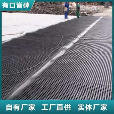 郴州及周边地区钢塑土工格栅应用与发展现状（2025年8月更新）